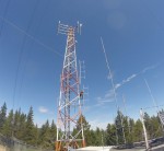 2015-08-07 12.40.20 cropped